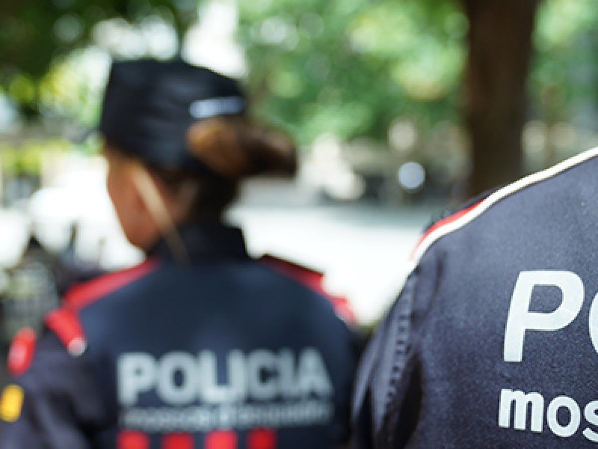 Los Mossos d'Esquadra detienen a nueve personas por daños en trenes en Cataluña