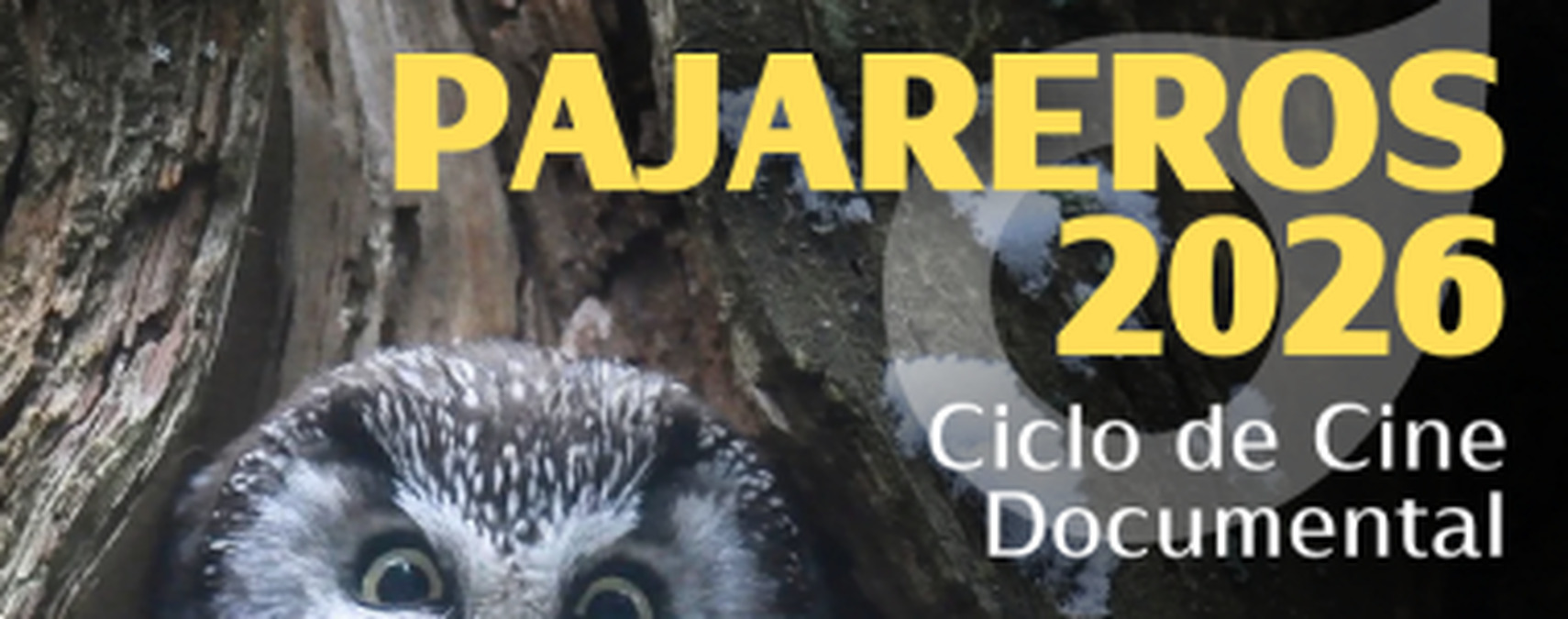 Santander acoge la III edición de ‘Pajareros’, un ciclo de cine sobre fauna y conservación