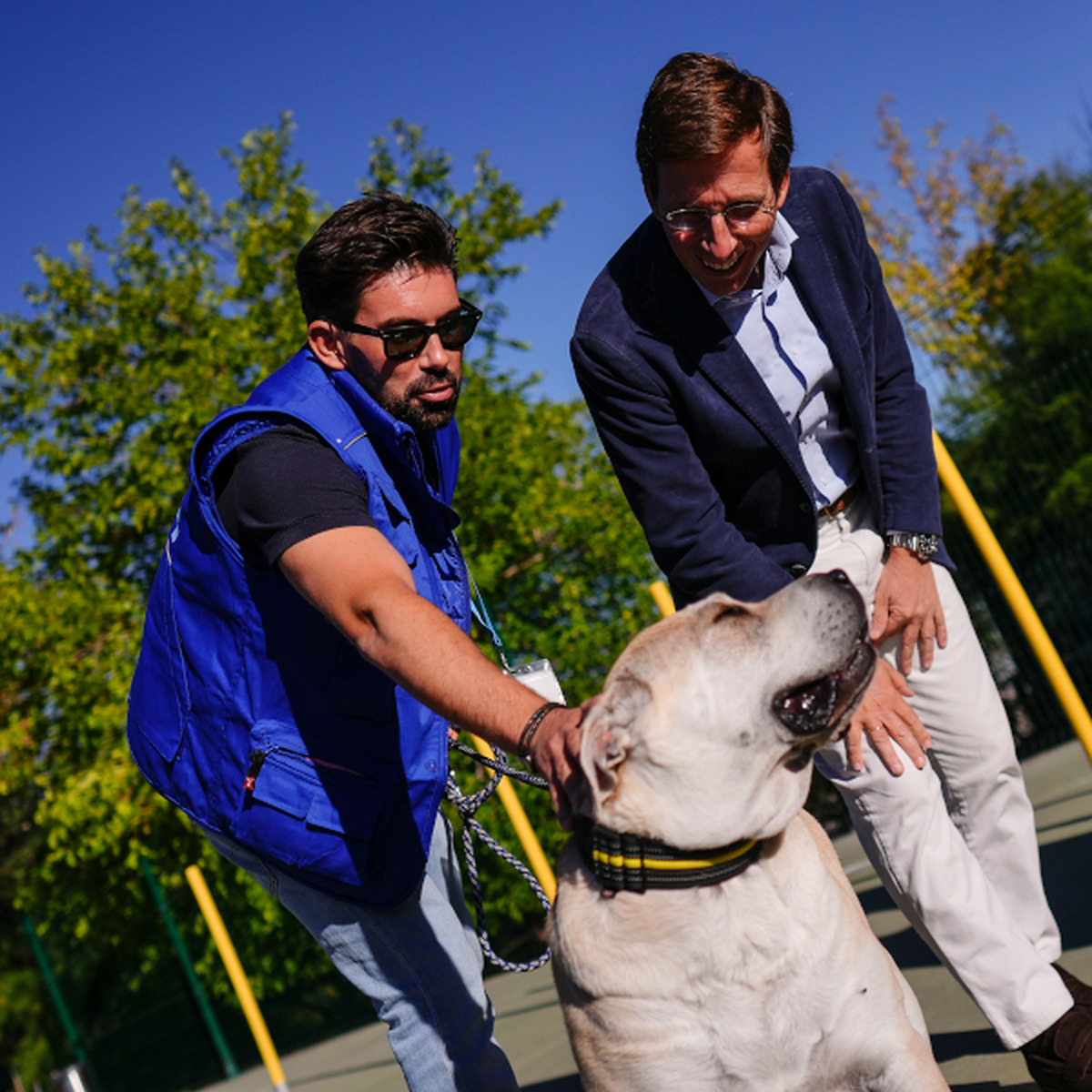 Madrid celebra 20 años del Centro de Protección Animal con un enfoque en la adopción responsable