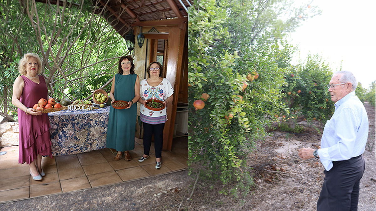 Elche premia a las hermanas Agulló Vicente y a Pascual Román en la Fireta del Camp