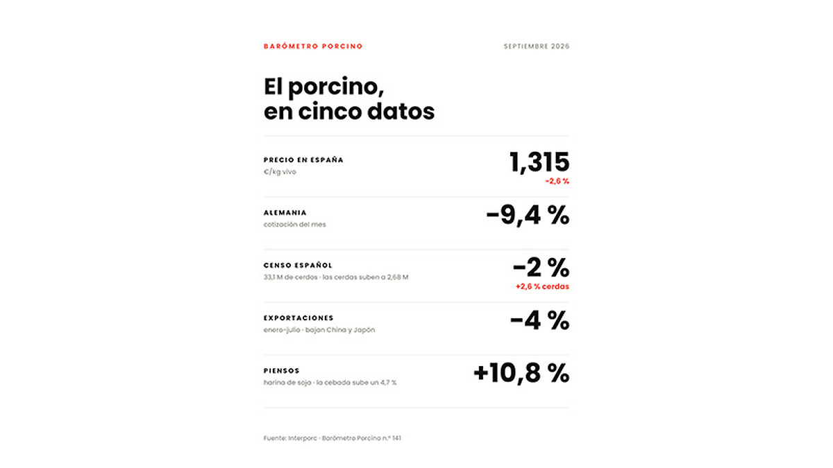 El precio del cerdo en España cae un 2,6% en septiembre mientras aumentan los costes de alimentación