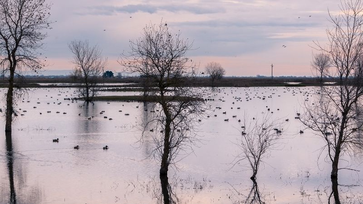 ASAJA Córdoba denuncia que el 40% de las ayudas por las borrascas aún no ha llegado a los agricultores