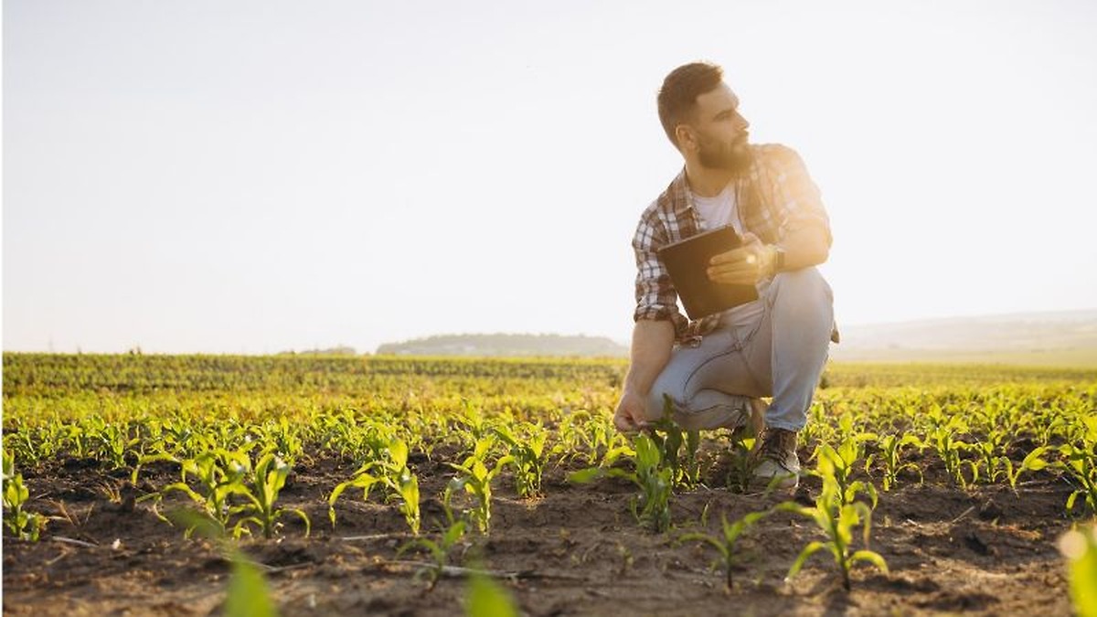 El Gobierno destina 372,6 millones de euros a seguros agrarios en 2026