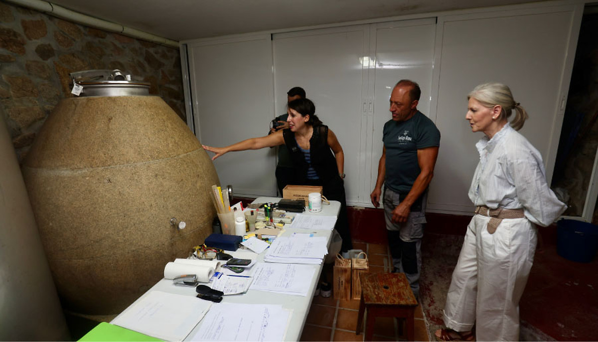 La Xunta prorroga hasta el 16 de diciembre la línea de préstamos de 2 millones para bodegas gallegas