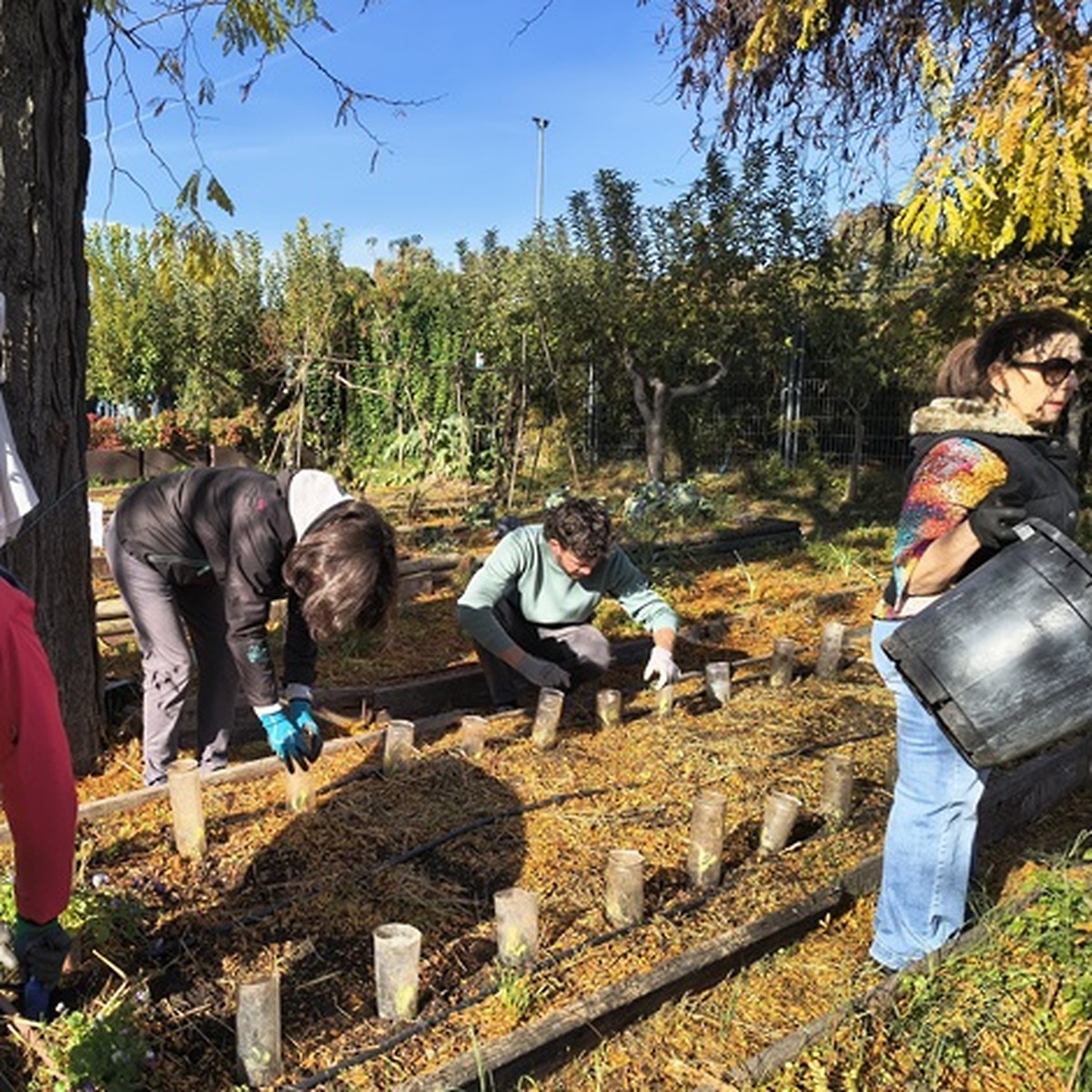 Más de 400 actividades del programa Hábitat Madrid destacan la riqueza ambiental de la capital