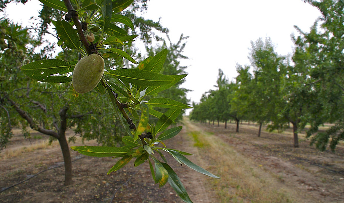 Andalucía destina 12 millones en ayudas para las industrias agroalimentarias afectadas por las borrascas