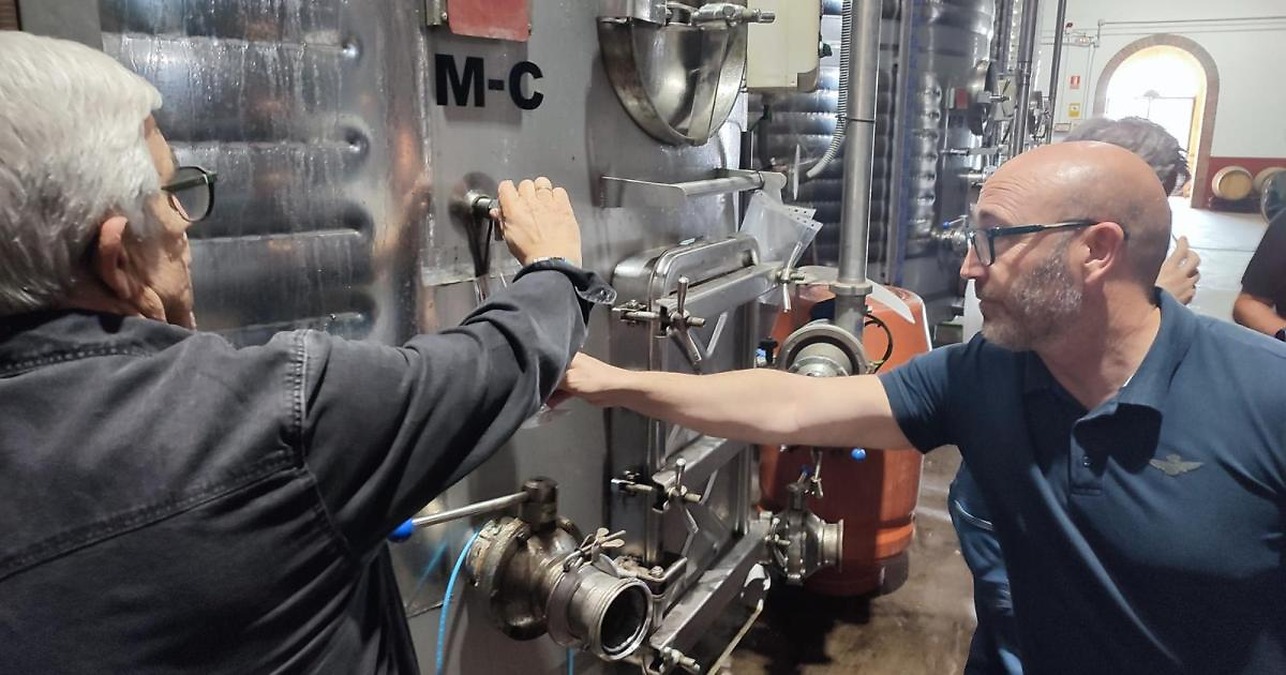 Casas Ibáñez recibe 3,4 millones en inversiones para modernizar bodegas gracias a las ayudas VINATI