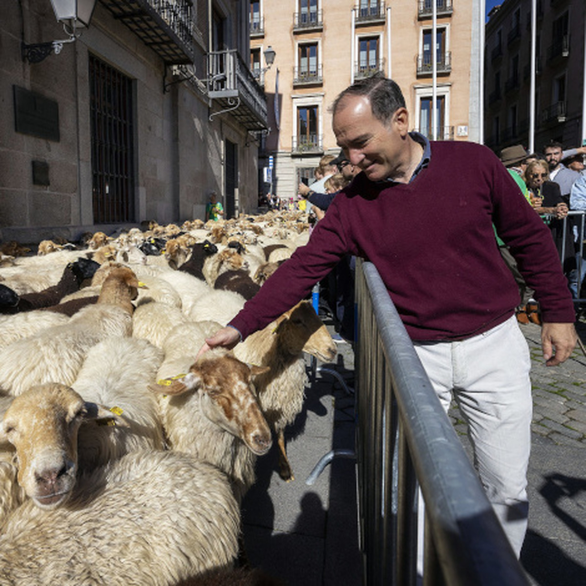 Madrid celebra la XXXIII Fiesta de la Trashumancia con el paso de 1.250 ovejas y 160 cabras