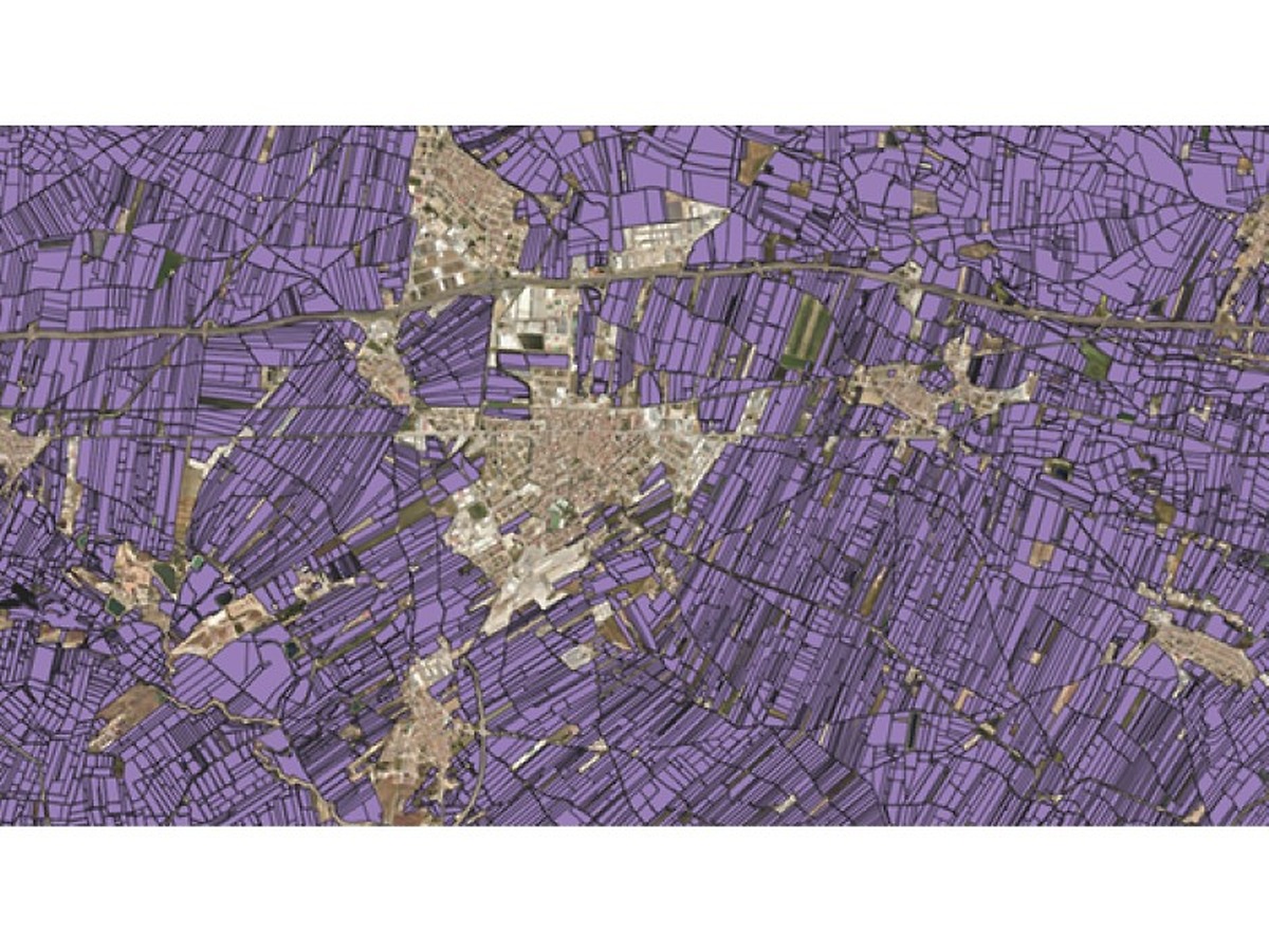Cataluña actualiza los mapas de parcelas y cultivos agrícolas para 2026